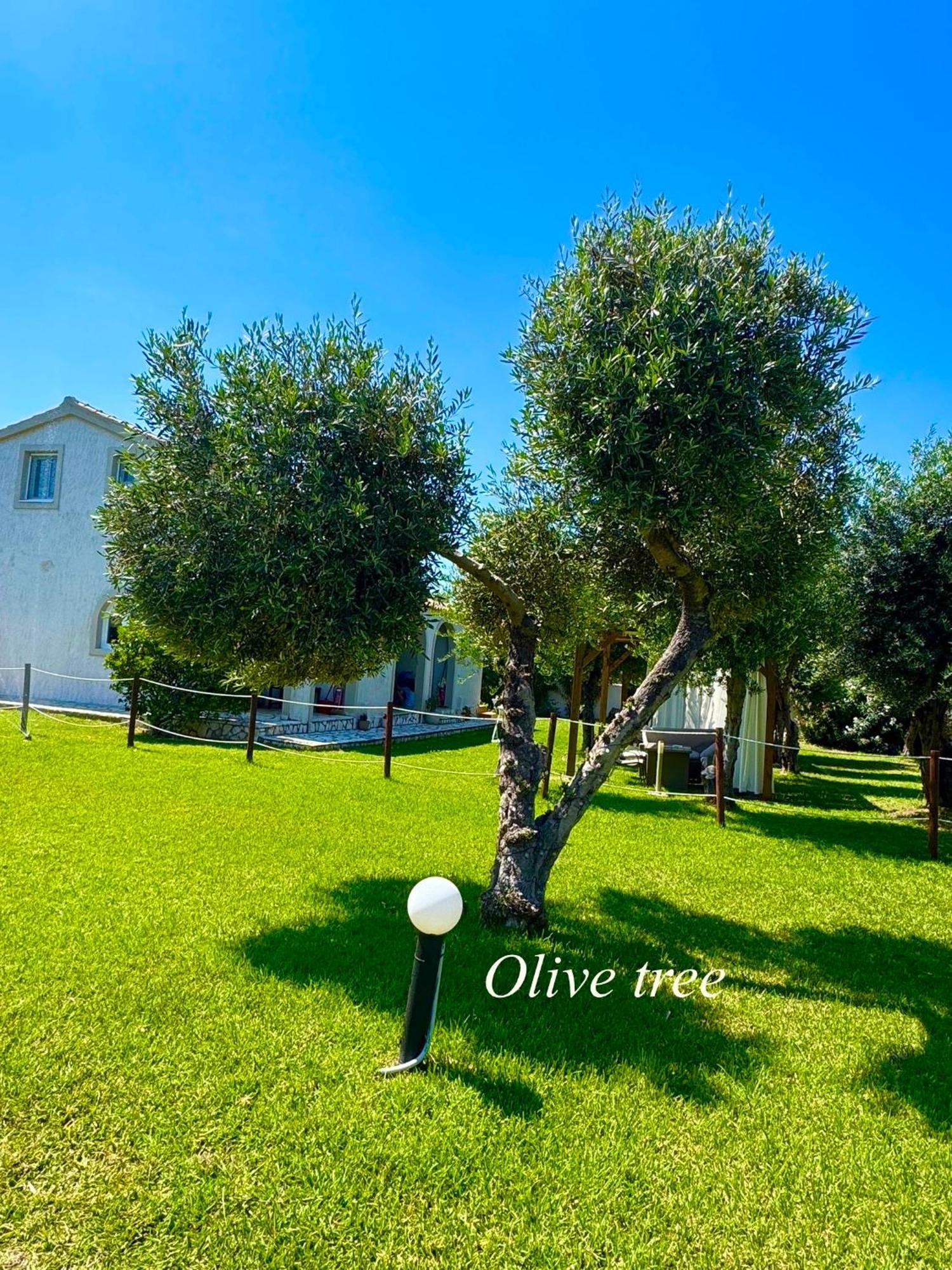 Sungate Apartment Almiros Beach